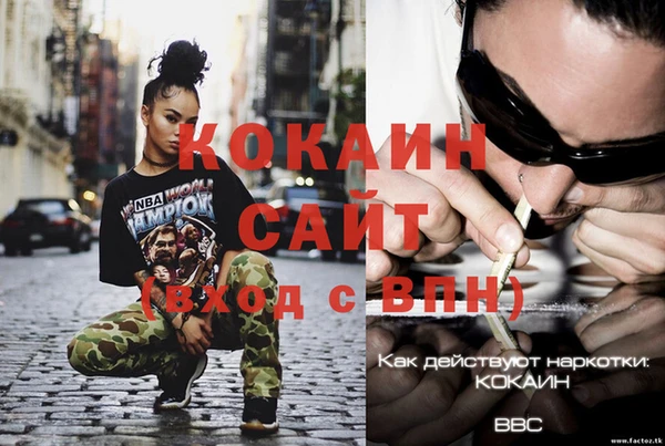 дмт Нея