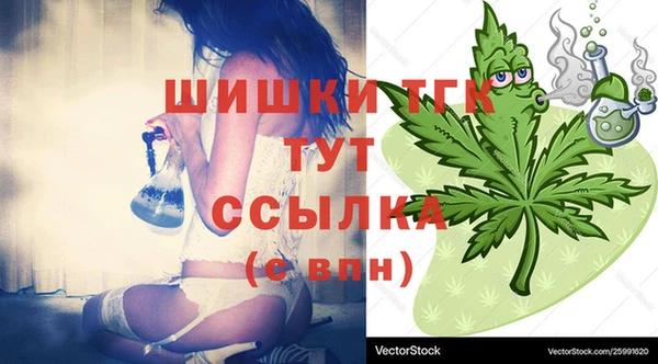 дмт Нея