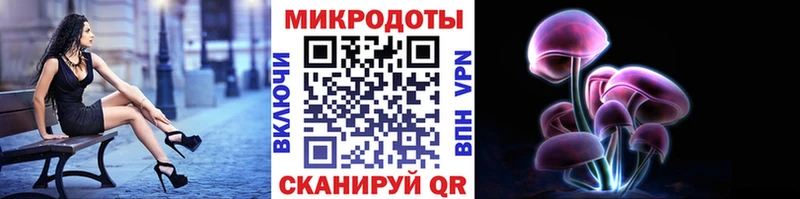 цена наркотик  Амурск  Галлюциногенные грибы Psilocybe 